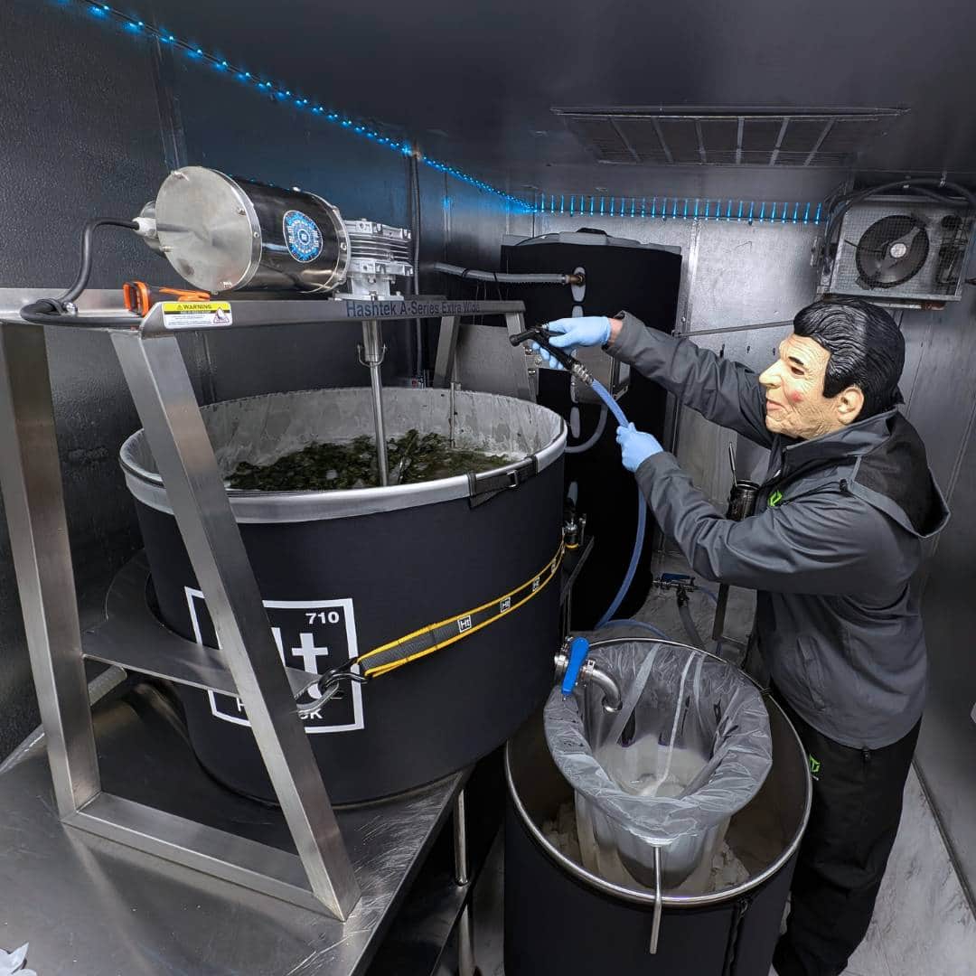 Hashtek system in action 3