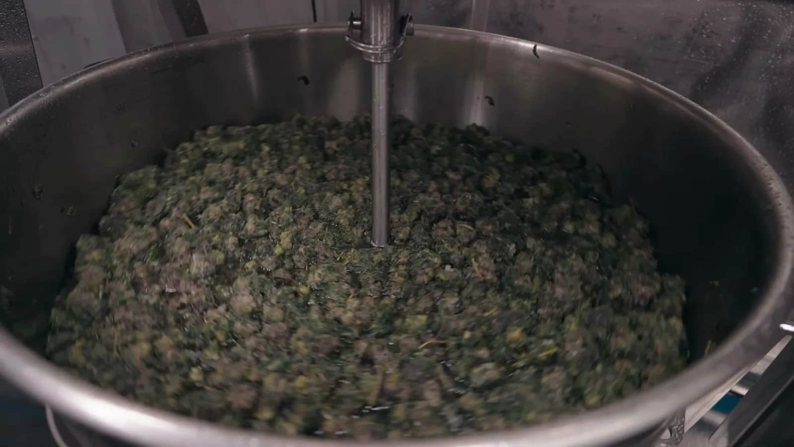 A-Series paddle turning the hydrated biomass at 15 RPM with water moving through the vessel.