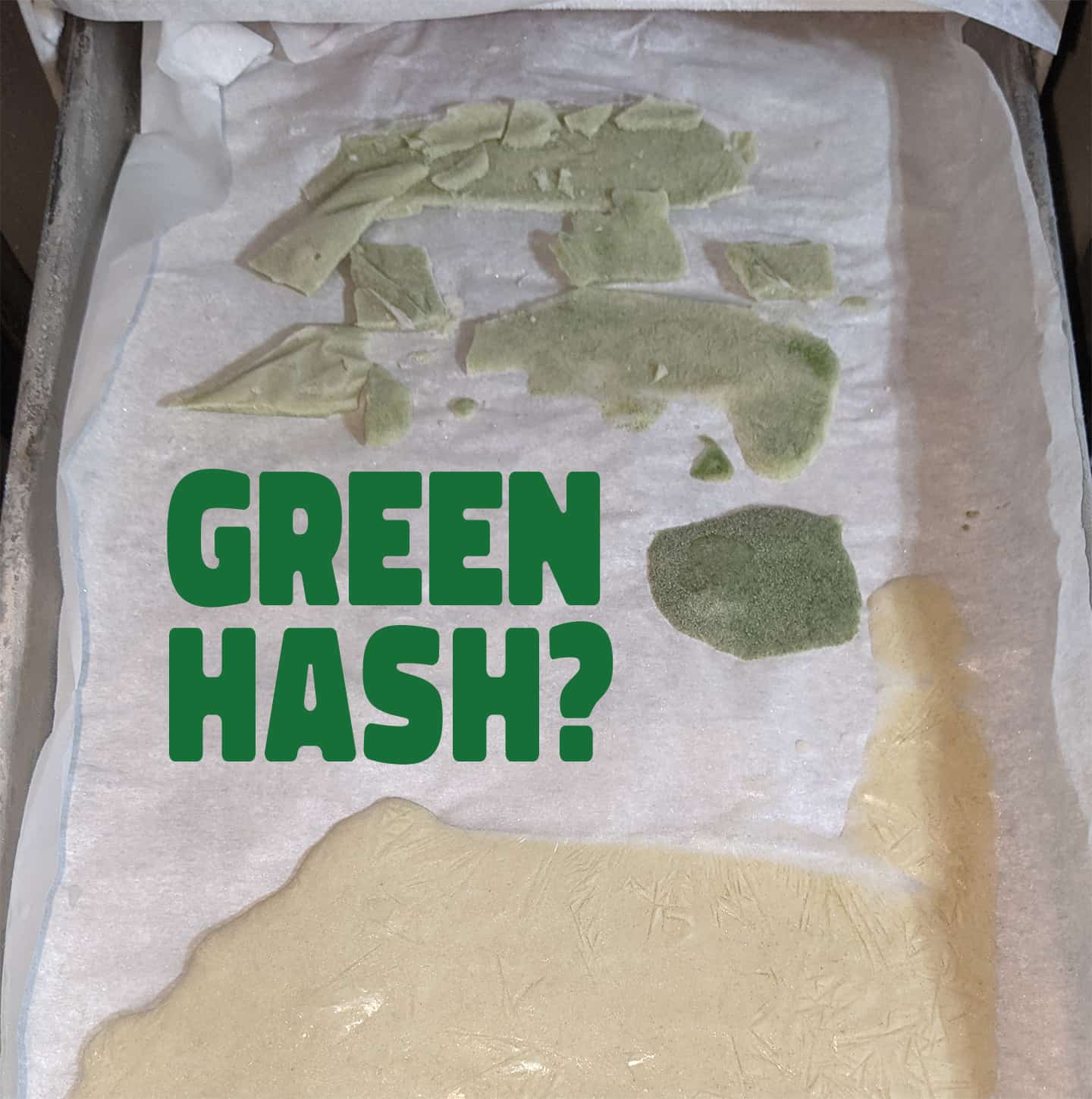 What Causes Green Hash? (chlorophyll contamination explained)