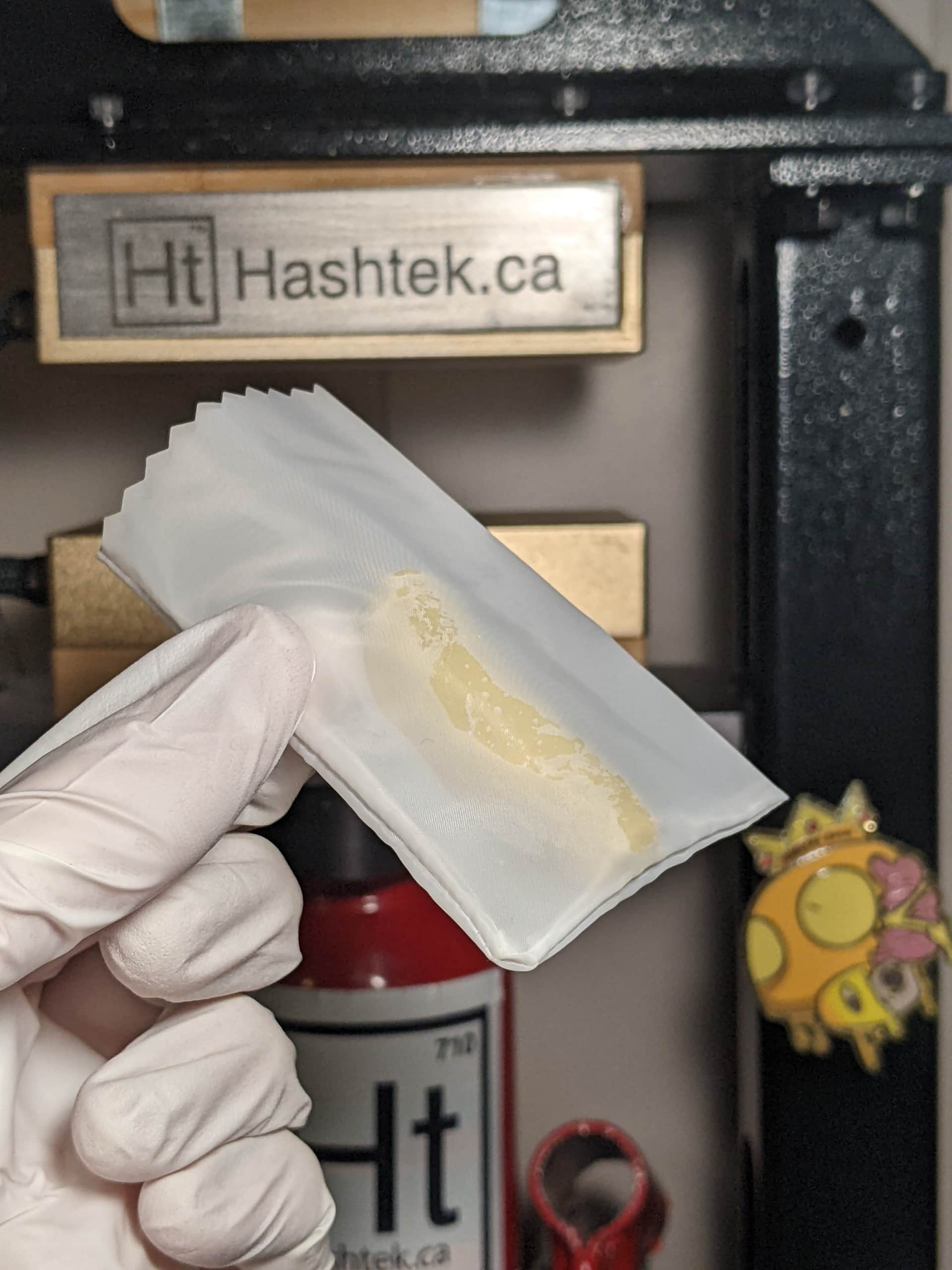 hash rosin prepped for mechanical thca extraction hashtek