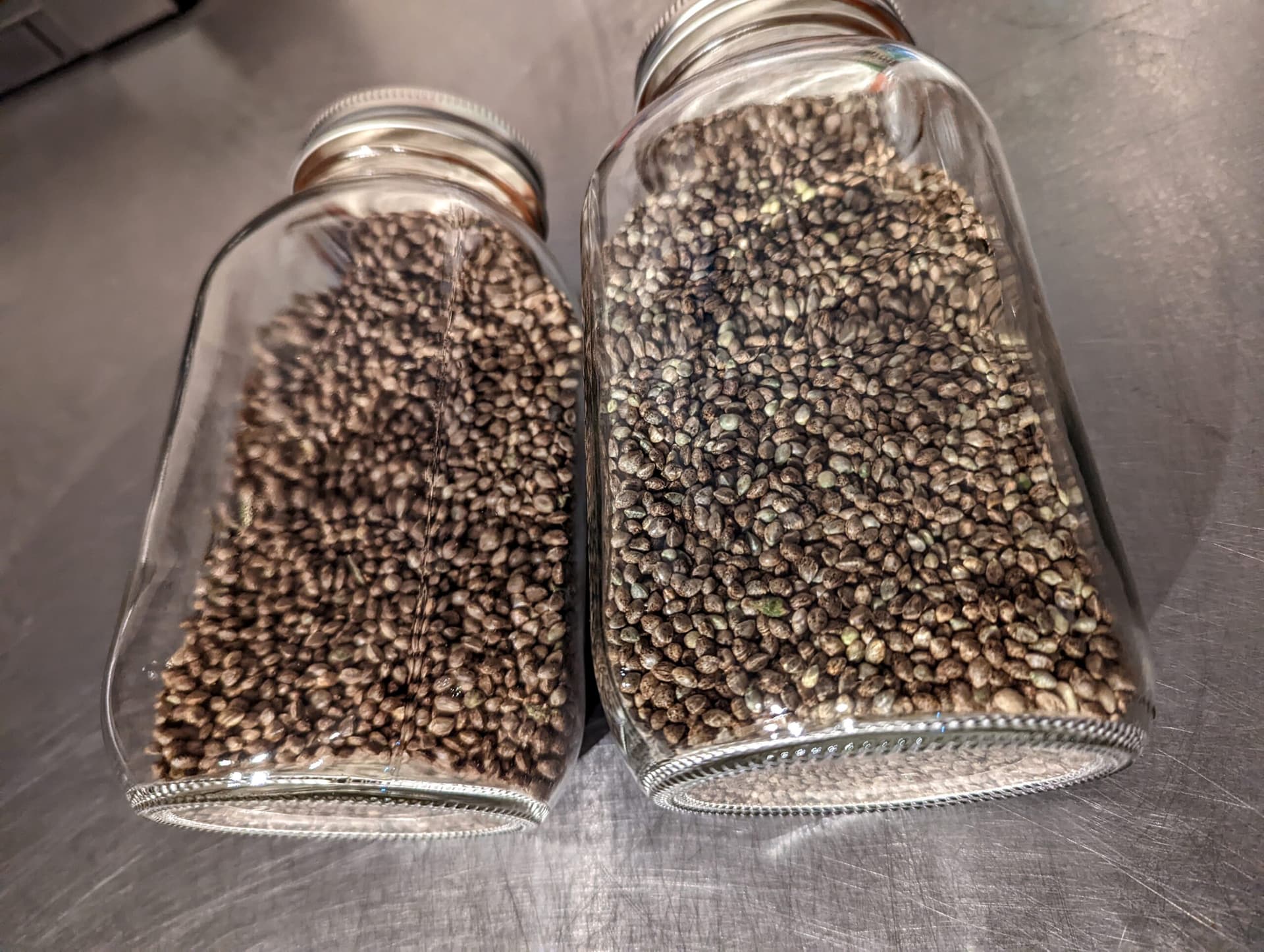 Strains that Wash - Selecting Cultivars that Yield for Hash