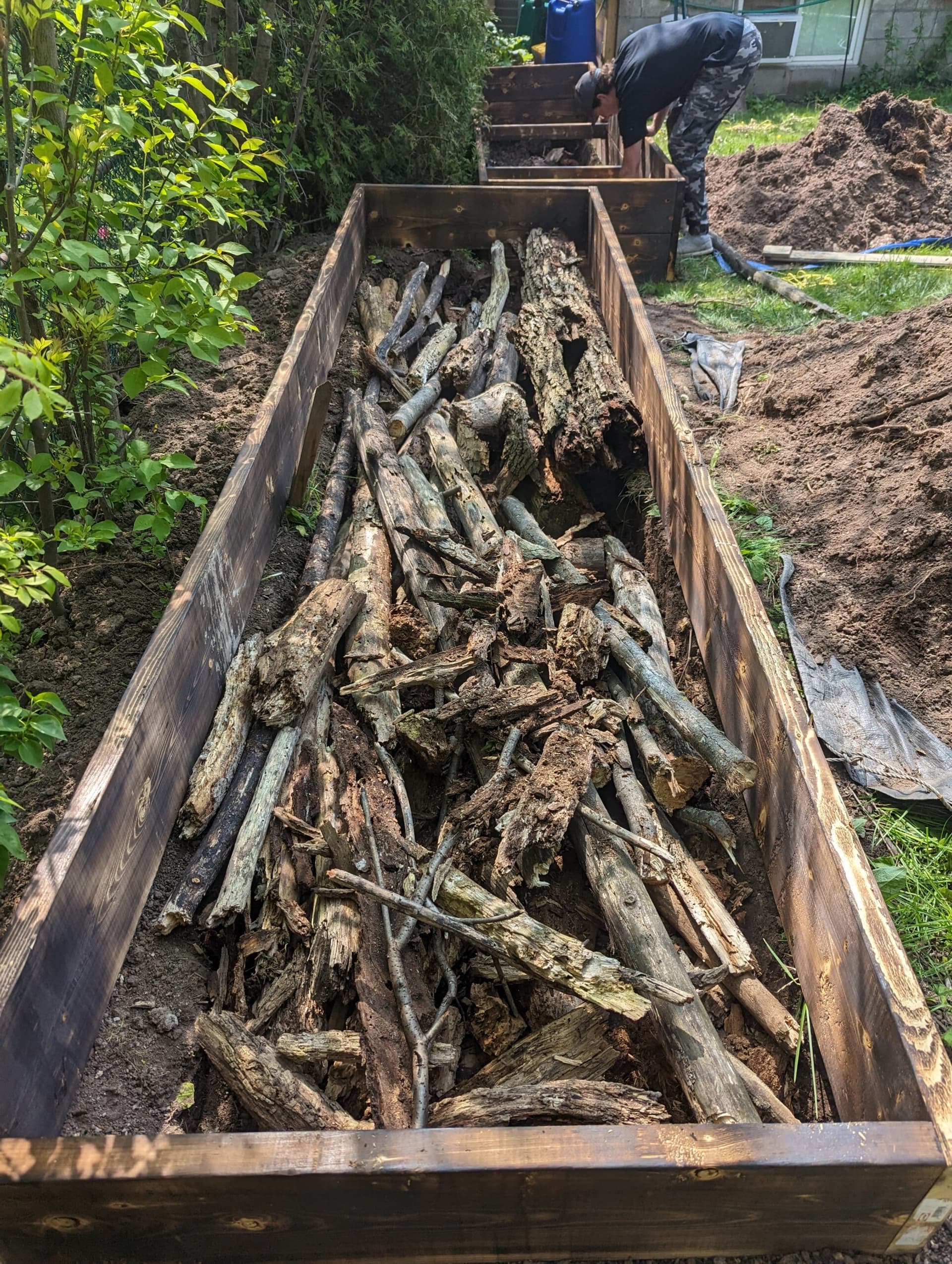 Hügel Style Raised Beds for Cannabis Resin Production