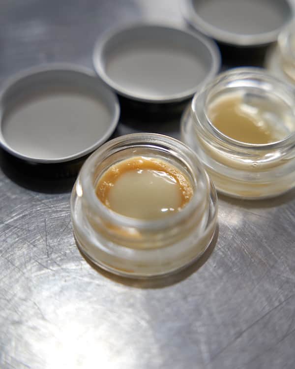 hashtek solventless extraction equipment at the smoking jacket 2023 hash rosin event