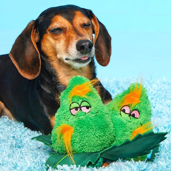 Bark 4/20 Dog Toys