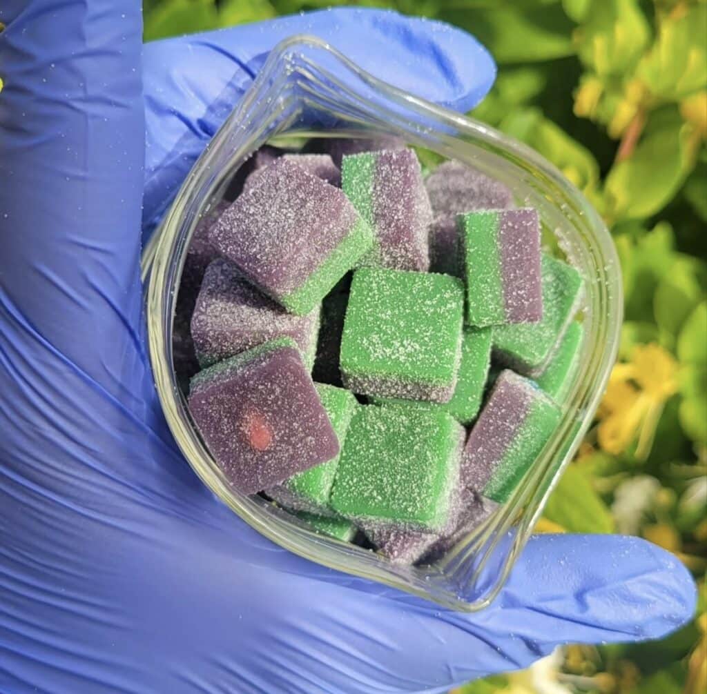 Cozy Cubes