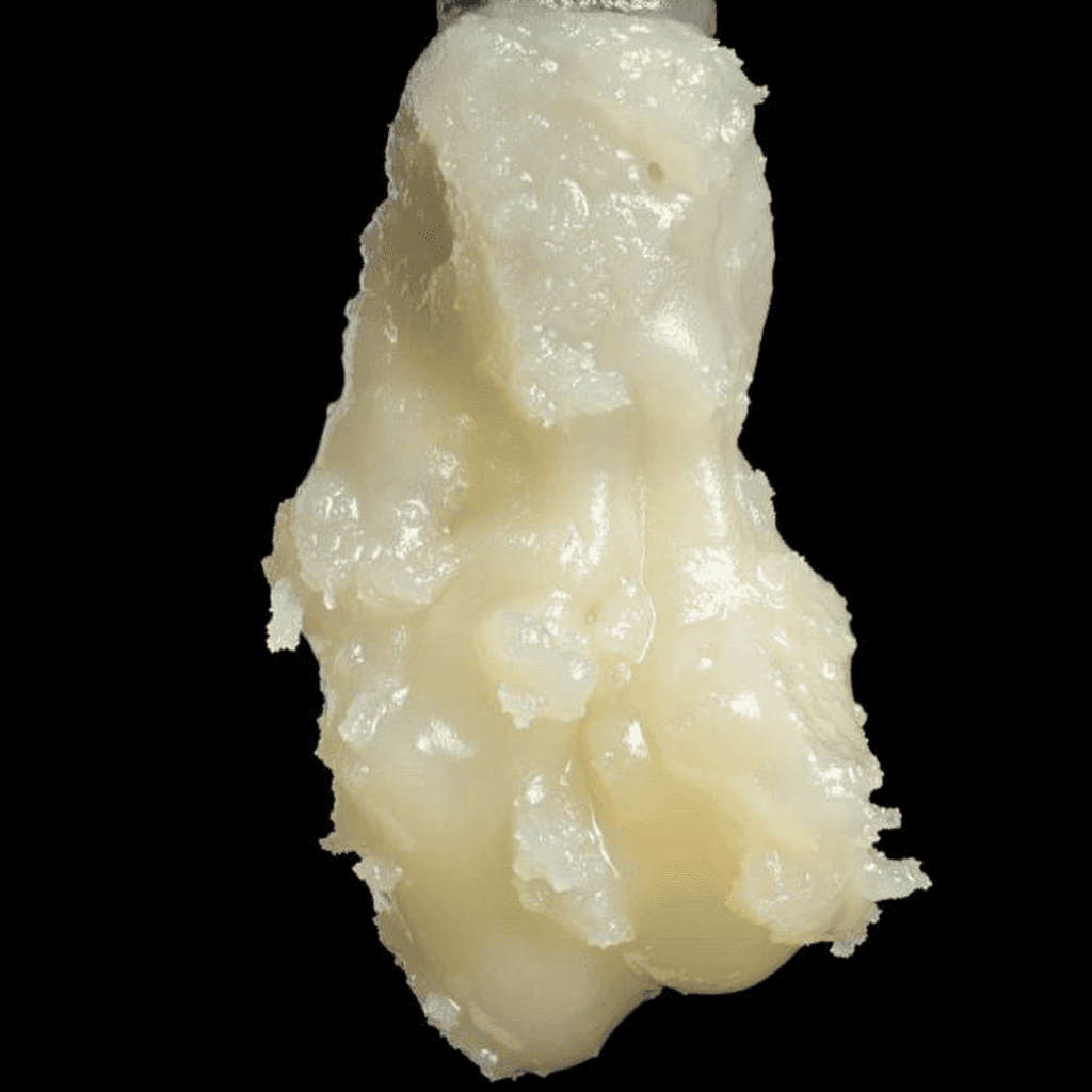 terpwizard melon dough