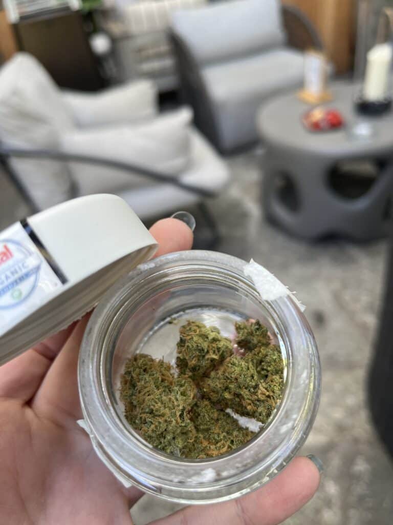 legends of hashish
