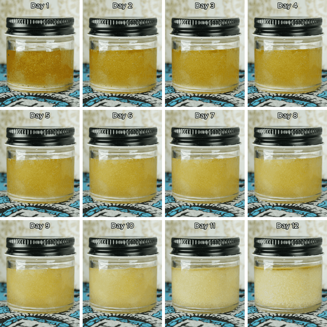 Rosin Curing Timelapse 2.0