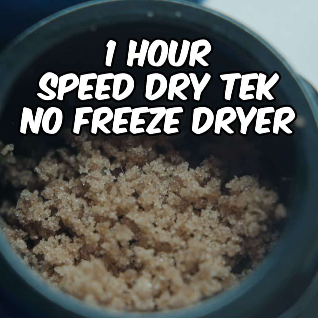 Speed Dry Tek: From Wet to Perfect Caviar in Just an Hour