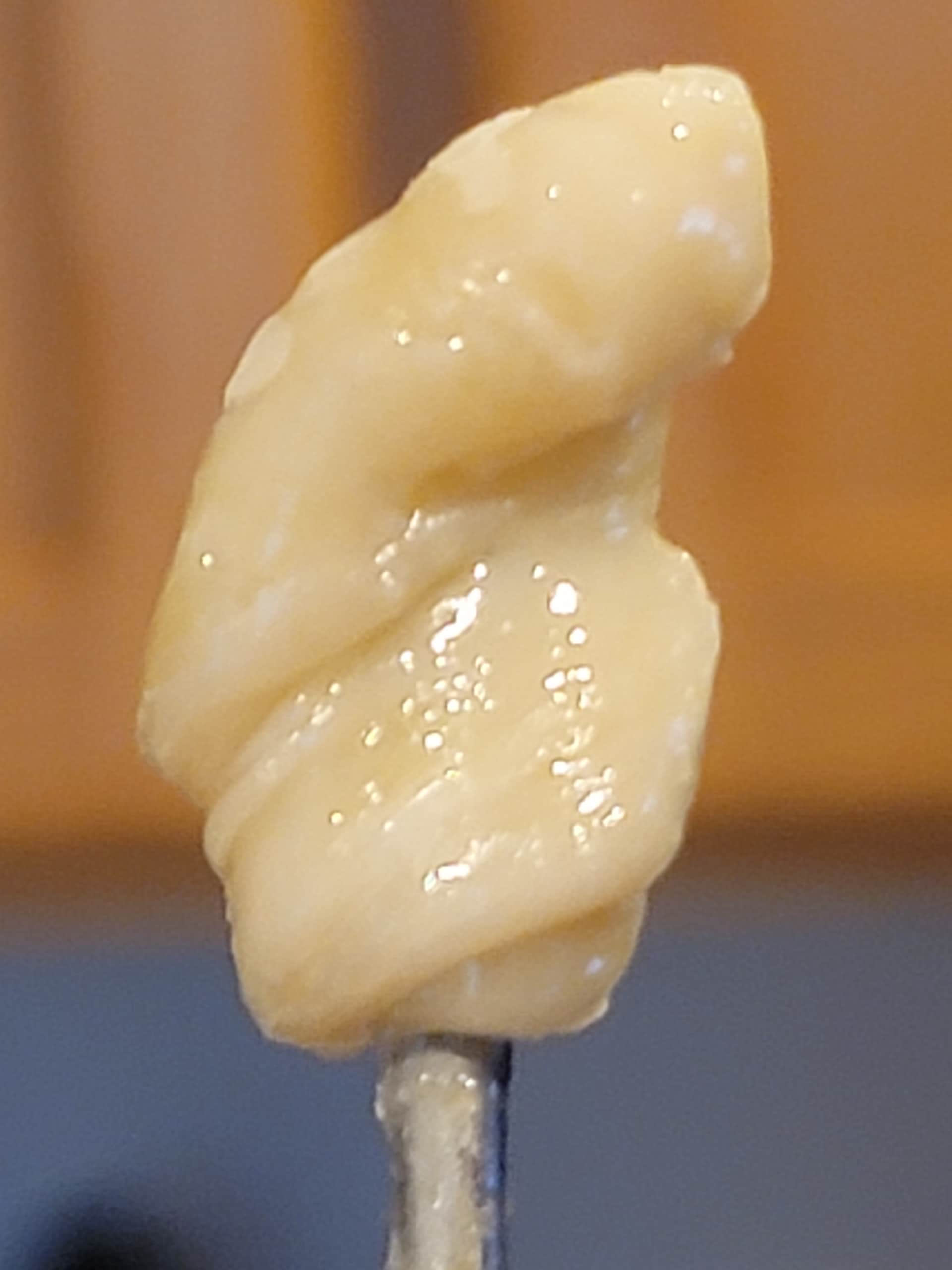 20241014_081243.jpg
